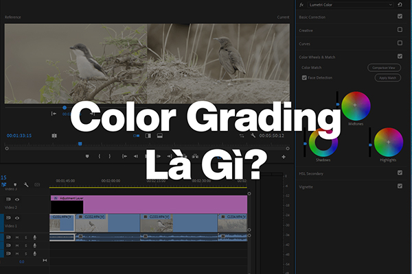 color grading là gì