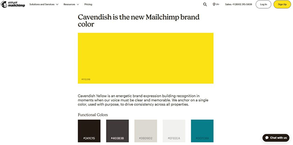 bảng màu trong brand guidelines