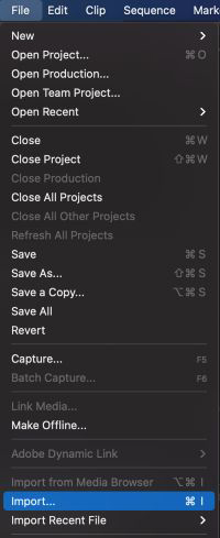 thêm video trong premiere pro