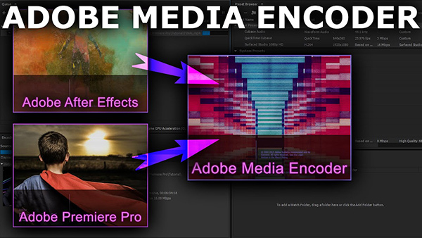 adobe media encoder là gì