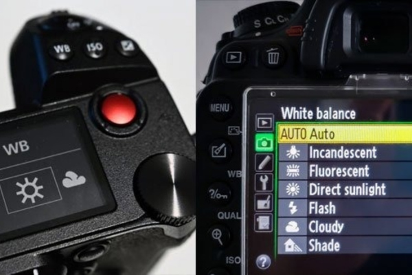 auto white balance