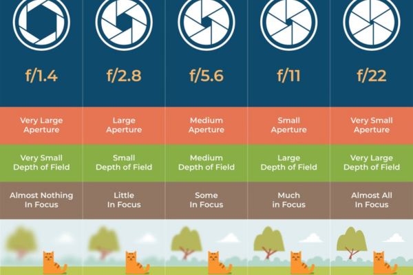 khẩu độ ảnh hưởng đến độ sâu trường ảnh